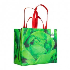 Ecobolsa Laminada